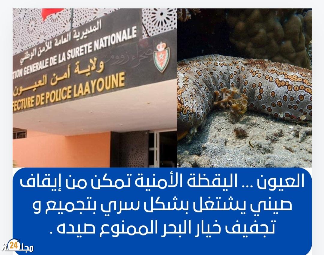 العيون … اليقظة الأمنية تمكن من إيقاف صيني يشتغل بشكل سري بتجميع و تجفيف خيار البحر الممنوع صيده .