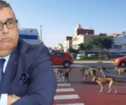 تداعيات وفاة شاب بسبب كلب مسعور ، دعوة للتغيير والإصلاح