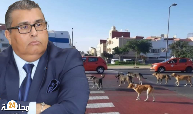 تداعيات وفاة شاب بسبب كلب مسعور ، دعوة للتغيير والإصلاح
