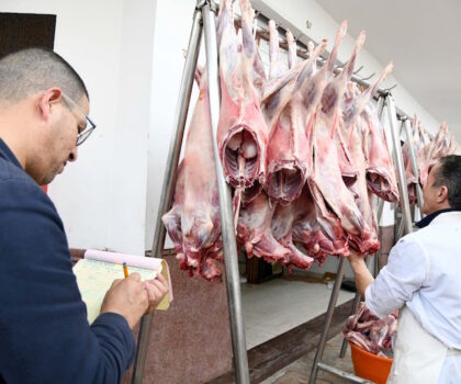 أسعار اللحوم تسجل تراجعا ملحوظا بفضل عملية الاستيراد