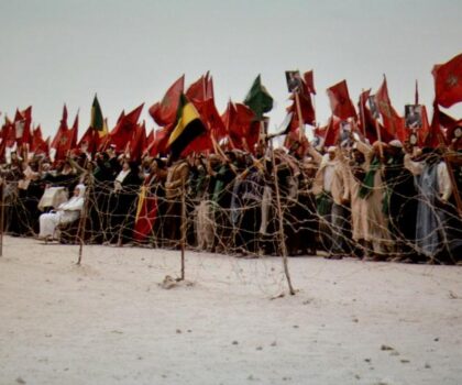 ذكرى المسيرة الخضراء.. ملحمة خالدة في مسار تحقيق الوحدة الترابية