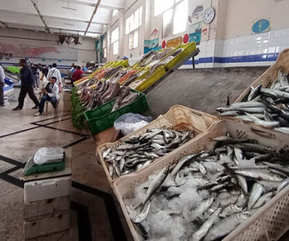 أكادير: حجز أطنان من الأسماك داخل مستودع سري