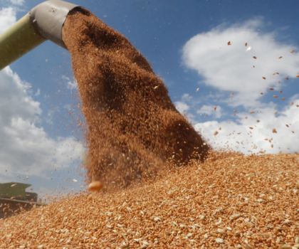المغرب يرفع من وتيرة استيراد القمح إلى غاية ابريل المقبل