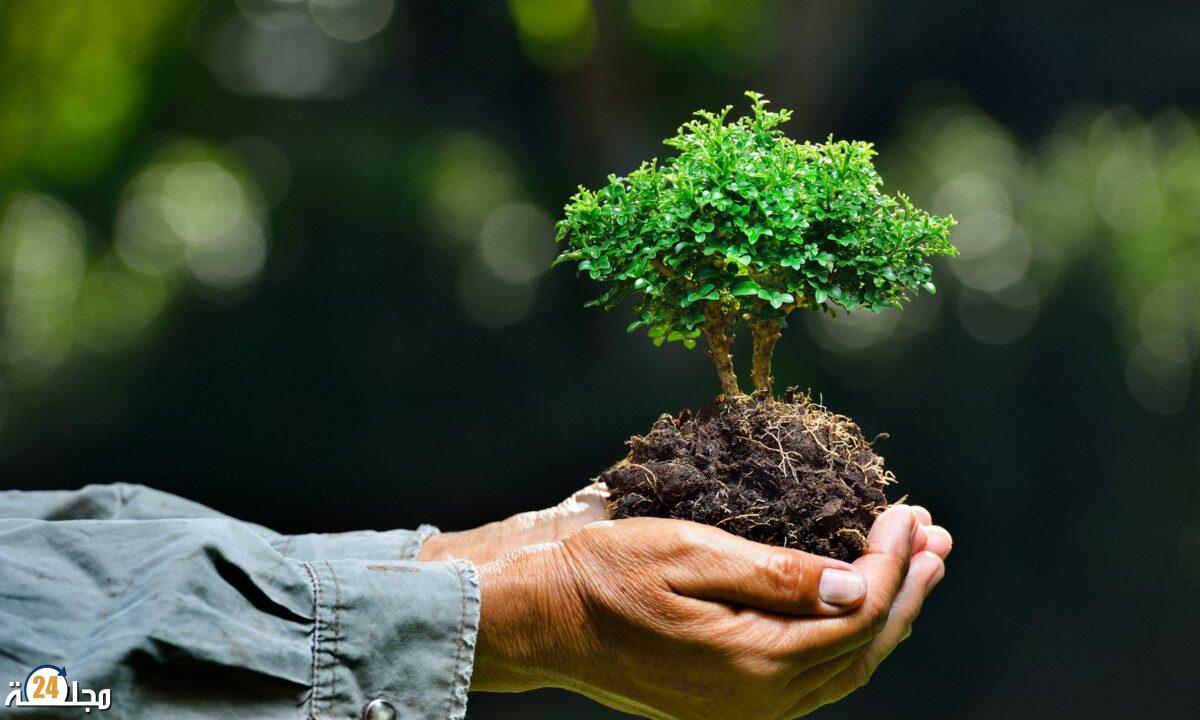 المغرب – ألمانيا: التوقيع بالرباط على اتفاقية لتمويل برنامج دعم السياسات المناخية