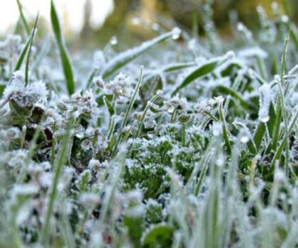 طقس الجمعة: أجواء باردة وصقيع في الأطلس وجنوب المنطقة الشرقية