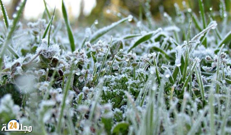 تازة تسجل أعلى نسبة من التساقطات خلال 24 ساعة الماضية