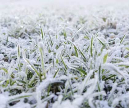 أحوال الطقس غدا الجمعة