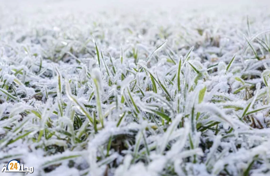 أحوال الطقس غدا الجمعة