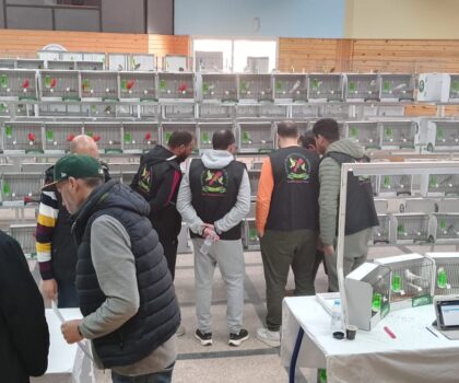 انطلاق البطولة الوطنية الثالثة لطيور الأقفاص بمدينة تمارة