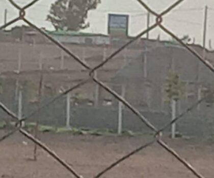 ما هو القرار يا ترى بخصوص اسطبل الدواجن !!!!