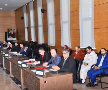 اجتماع اللجنة الإقليمية للتنمية البشرية بتيزنيت، تتبع مشاريع المبادرة وتوجيهات المستقبل