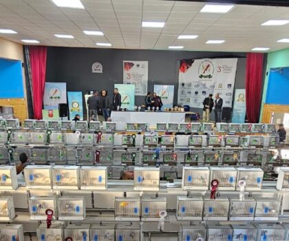 تتويج الفائزين في ختام البطولة الوطنية الثالثة لطيور الأقفاص