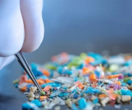 هل يمكن لبلاستيك تغليف الطعام أن يسبب أمراض القلب؟
