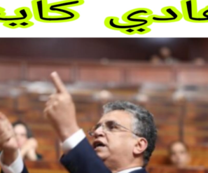 هادي كاينة أسي وهبي: أول مرة أتفق مع وهبي