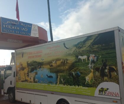 الجديدة….قافلة بيئية متنقلة لتعزيز التربية البيئية تحط الرحال بمدرسة الخضر