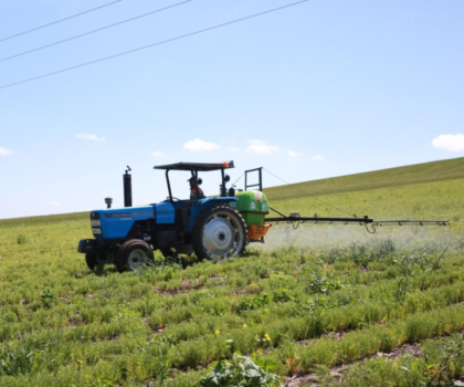 سطات.. تأثير إيجابي للتساقطات المطرية الأخيرة على المزروعات والغطاء النباتي