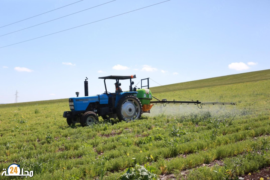 سطات.. تأثير إيجابي للتساقطات المطرية الأخيرة على المزروعات والغطاء النباتي