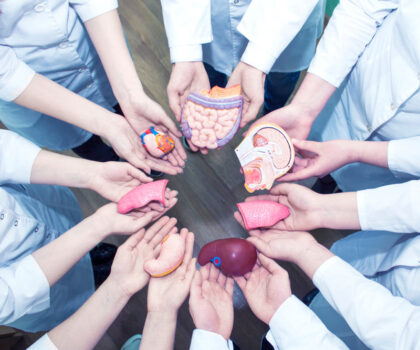 تقرير النيابة العامة: تسجيل 226 طلباً للتبرع بالأعضاء سنة 2023