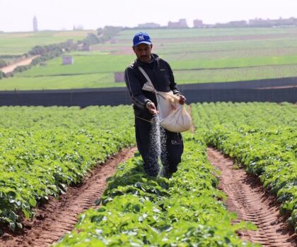 التساقطات المطرية بالمغرب.. عودة الحياة للأراضي والمياه بعد الجفاف الطويل