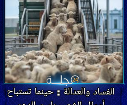 الفساد والعدالة: حينما تُستباح أموال الشعب باسم الدعم