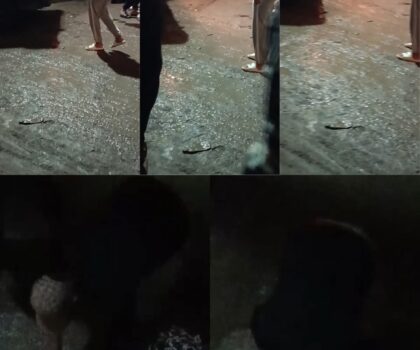 سيدة تضع مولودها في الشارع بدوار العرب بآيت عميرة في ظروف صعبة