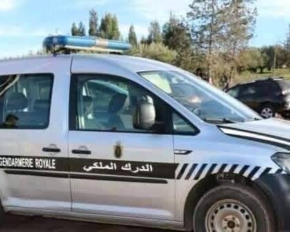 سيدي بوعثمان الدرك الملكي يطيح بزعيم عصابة إجرامية متخصصة في سرقة المواشي