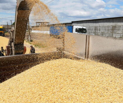 مع انخفاض الأسعار دوليا.. المغرب يعدل من رسوم استيراد القمح الطري