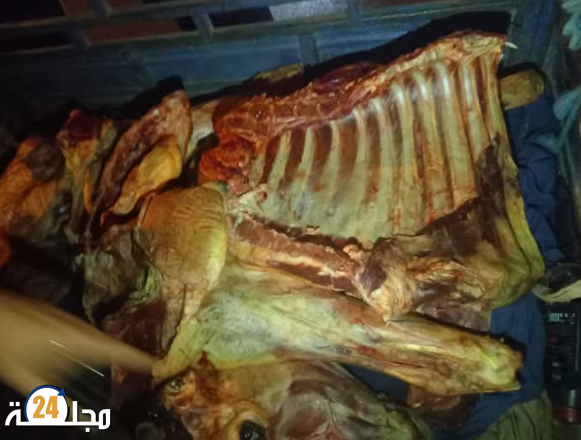 خنيفرة …..اعتقال سائق دراجة نارية ثلاثية العجلات وصديقه بتهمة نقل لحوم مذبوحة بطرق غير قانونية