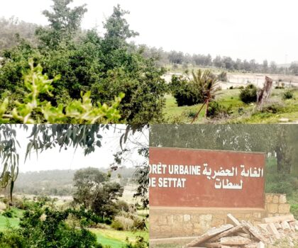 فضيحة بيئية تهز سطات والحزام الأخضر في مهب المشاريع الخاصة بتراخيص مشبوهة