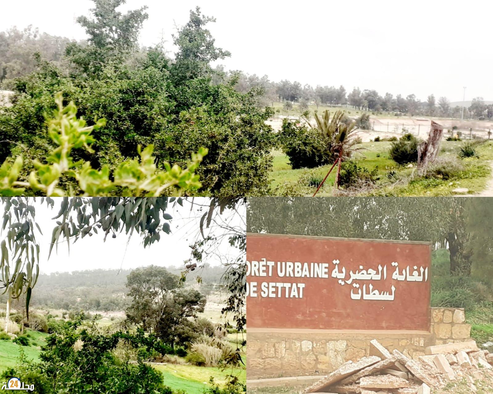 فضيحة بيئية تهز سطات والحزام الأخضر في مهب المشاريع الخاصة بتراخيص مشبوهة