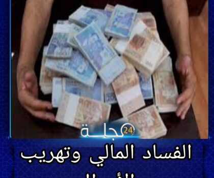 أزلو محمد يكتب: الفساد المالي وتهريب الأموال “حينما تصطدم الأوطان بأطماع أبنائها