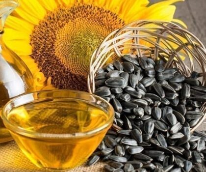 لتعزيز السيادة الغذائية.. شراكة استراتيجية لتطوير قطاع الزراعات الزيتية بالمغرب