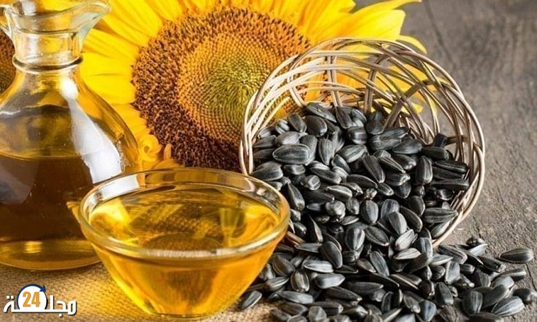 لتعزيز السيادة الغذائية.. شراكة استراتيجية لتطوير قطاع الزراعات الزيتية بالمغرب