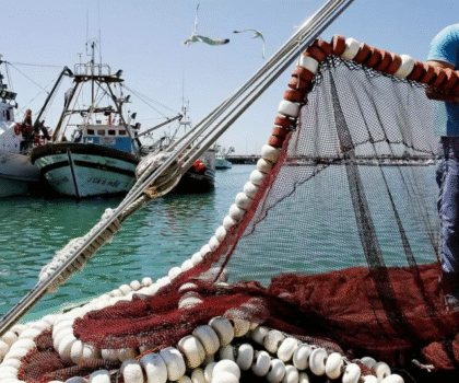 الصيد البحري بوابة المغرب نحو شراكات دولية واعدة مع روسيا واليابان