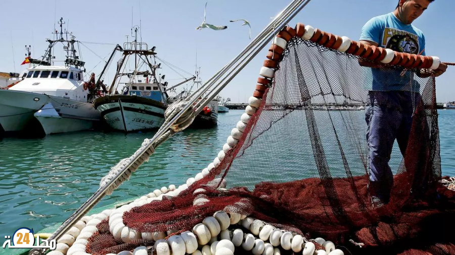 الصيد البحري بوابة المغرب نحو شراكات دولية واعدة مع روسيا واليابان