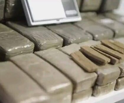 تفكيك شبكة للمخدرات بالخيايطة.. سيارة أوروبية مزورة تكشف عن مفاجآت غير متوقعة