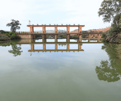 التساقطات المطرية تساهم في تحسين مستوى المخزون المائي بحوض أم الربيع