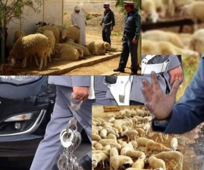 إيقاف زعيم عصابة “الفراقشية” في ابن جرير بعد عملية نوعية للدرك الملكي