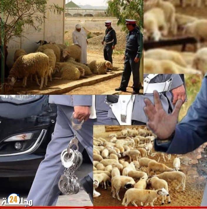 إيقاف زعيم عصابة “الفراقشية” في ابن جرير بعد عملية نوعية للدرك الملكي