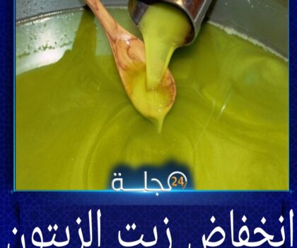 أزلو محمد يكتب: انخفاض أسعار زيت الزيتون في إسبانيا: بين التحولات الاقتصادية وتأثيرها على الأسواق المغربية.