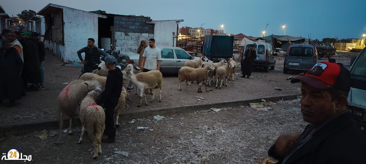 سيدي بنور: تدخل استباقي للسلطات لمنع ذبح سري للأغنام قبيل عيد الأضحى