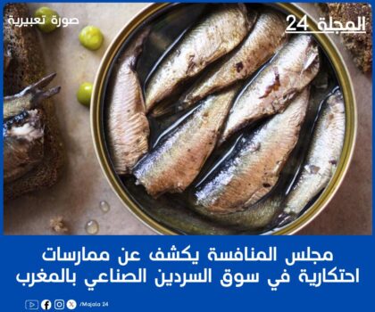 مجلس المنافسة يكشف عن ممارسات احتكارية في سوق السردين الصناعي بالمغرب