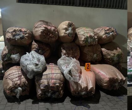 تفكيك شبكة مخدرات بين سطات وخريبكة ، حجز أزيد من طن ونصف من الكيف والشيرا