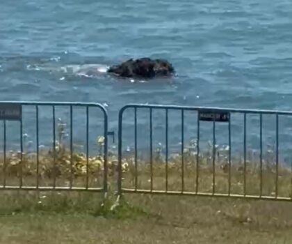 مآسي إنسانية بالفنيدق جثة تطفو فوق المياه مجددًا وغياب الحلول يزيد من نزيف الهجرة السرية..