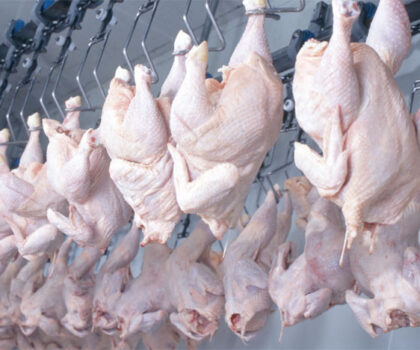 حجز طن من الديك الرومي غير صالح للاستهلاك بأسواق القنيطرة