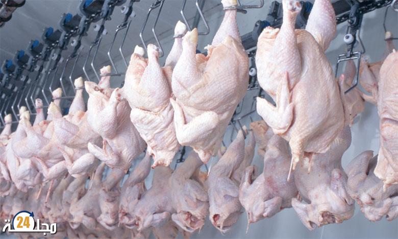 حجز طن من الديك الرومي غير صالح للاستهلاك بأسواق القنيطرة