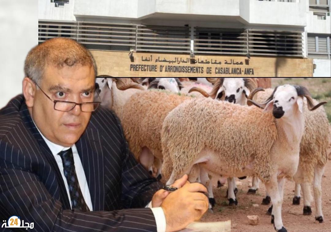 مصالح عمالة مقاطعات الدار البيضاء أنفا تنفذ قرار وزارة الداخلية بمنع جميع الأنشطة المرتبطة بشعيرة الذبح الخاصة بعيد الأضحى لعام 2025