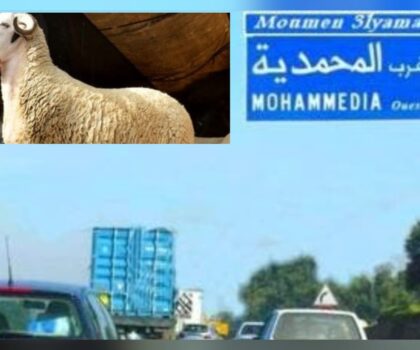 ساكنة المحمدية تنخرط في التوجيهات الملكية وعيد أضحى يمر في هدوء دون ذبح للأضاحي