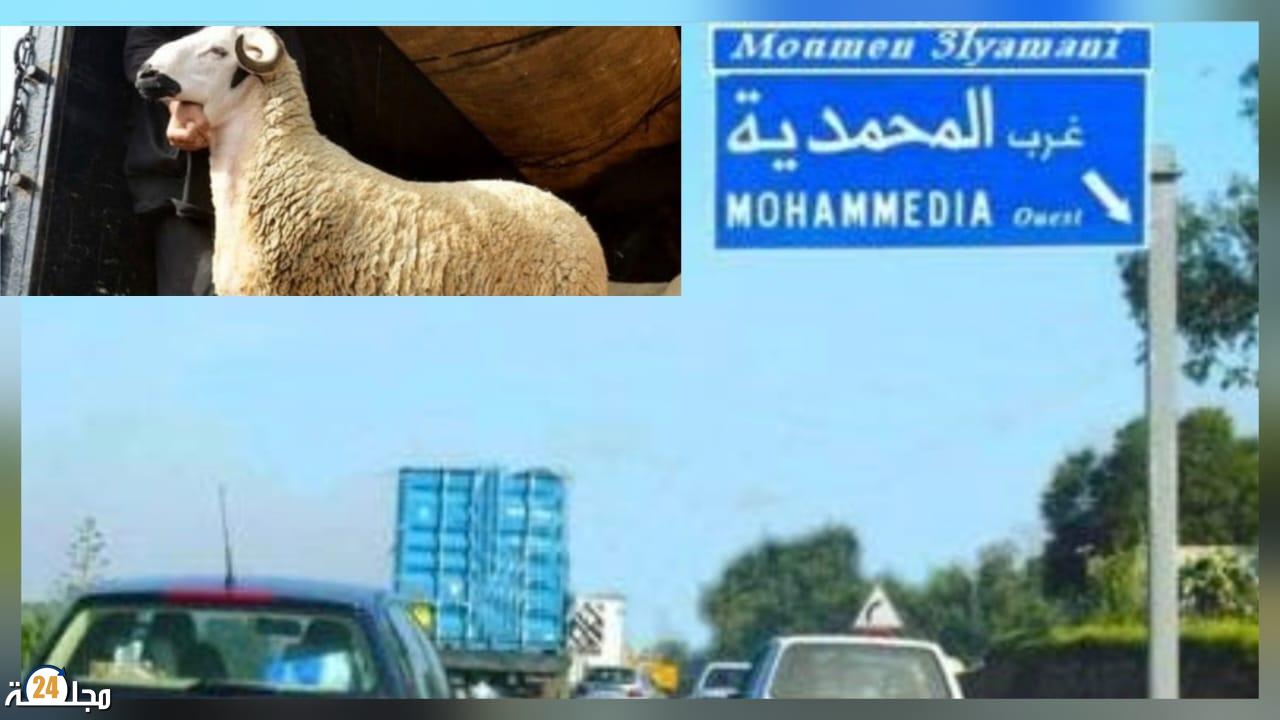 ساكنة المحمدية تنخرط في التوجيهات الملكية وعيد أضحى يمر في هدوء دون ذبح للأضاحي