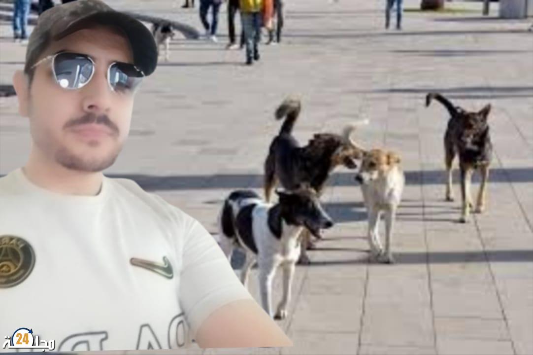 أزلو محمد يكتب: إشكالية الكلاب الضالة في المغرب “خطر متزايد يستدعي حلا جذريا”
